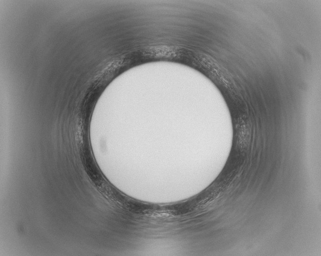 X0000116150643200912211509