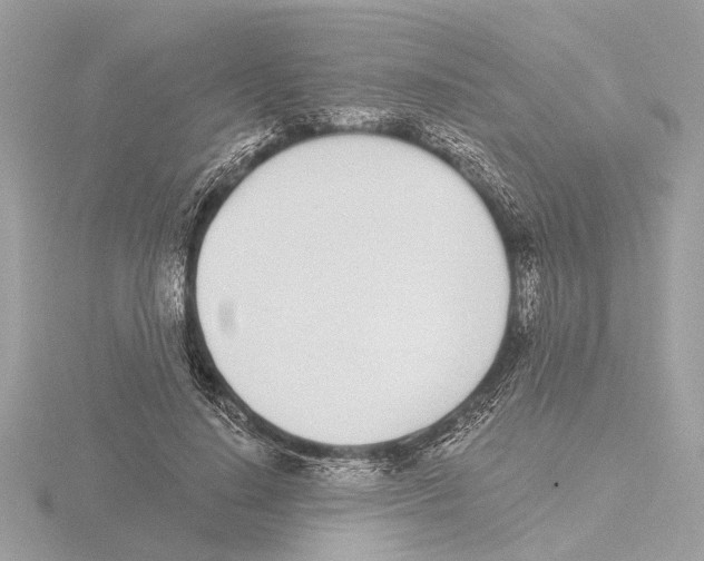 X0000116150644200912211509