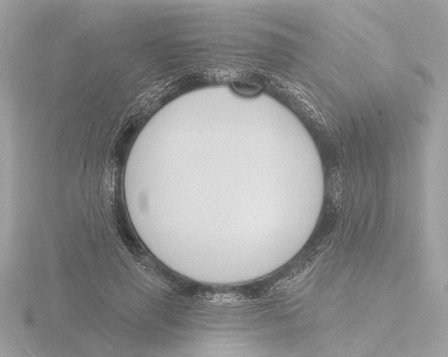 X0000116150645200912211509