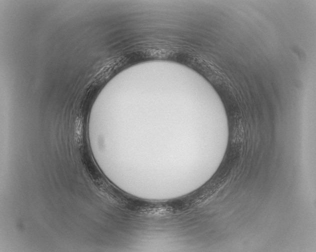 X0000116150646200912211509