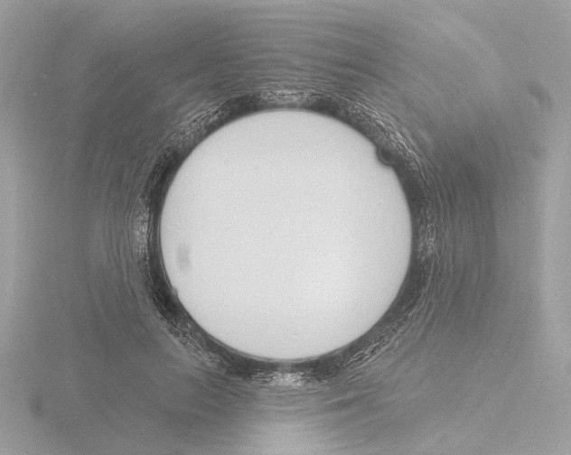 X0000116150647200912211509