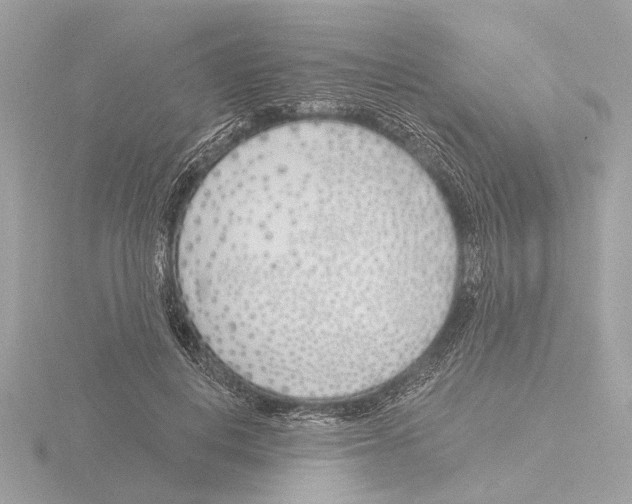 X0000116150648200912211509