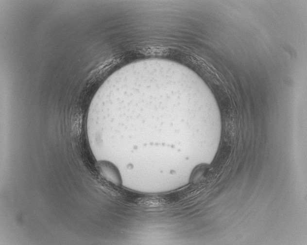 X0000116150652200912211509