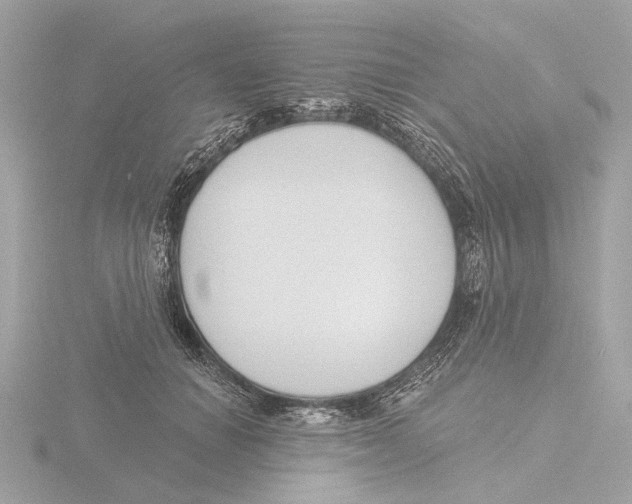 X0000116150654200912211510