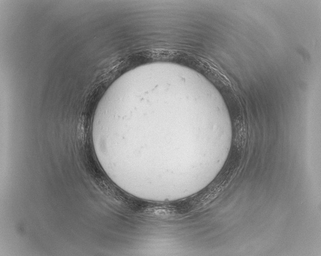 X0000116150655200912211510