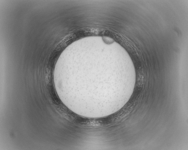 X0000116150656200912211510