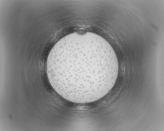 X0000116150657200912211510