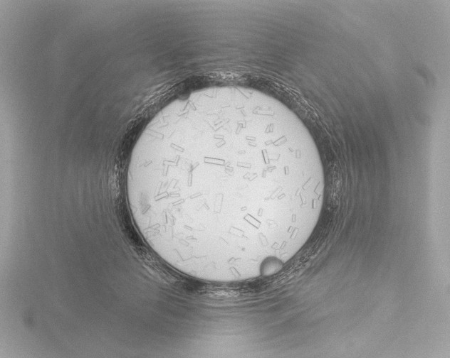 X0000116150658200912211510