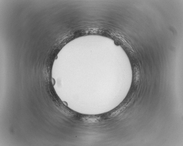 X0000116150661200912211510