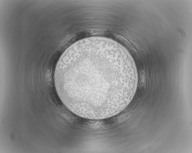 X0000116150667200912211510