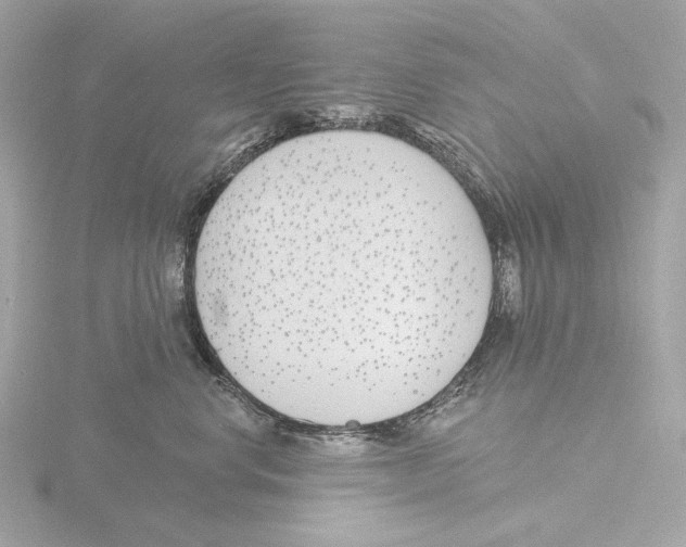 X0000116150668200912211510