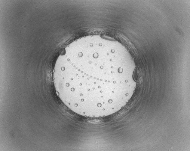 X0000116150669200912211510