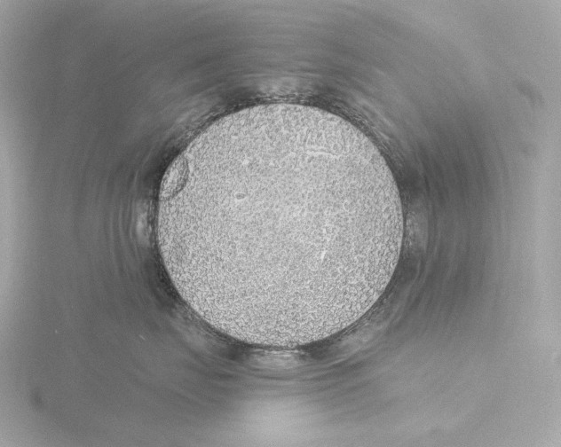 X0000116150671200912211510