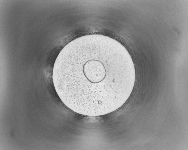 X0000116150672200912211510