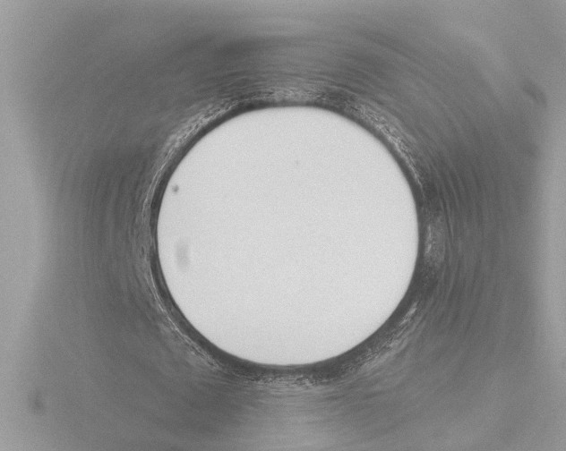 X0000116150673200912211509