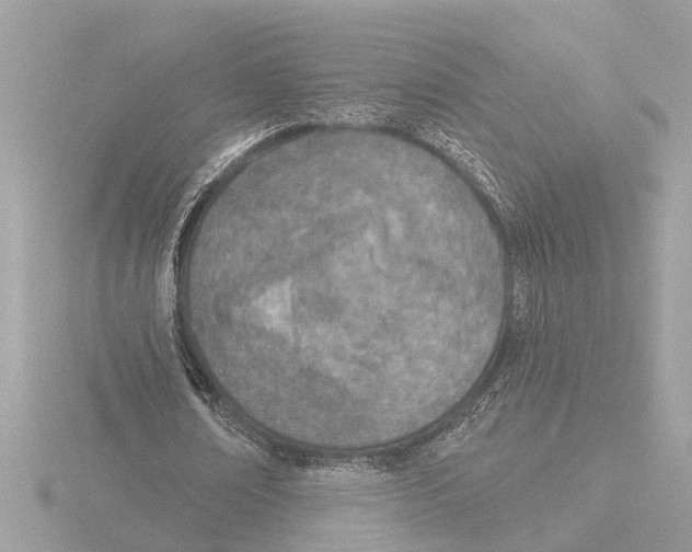 X0000116150674200912211509