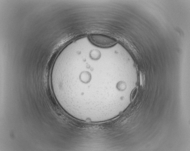 X0000116150675200912211509