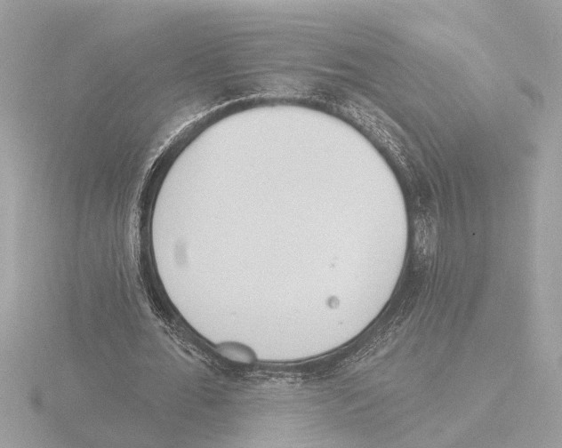 X0000116150676200912211509