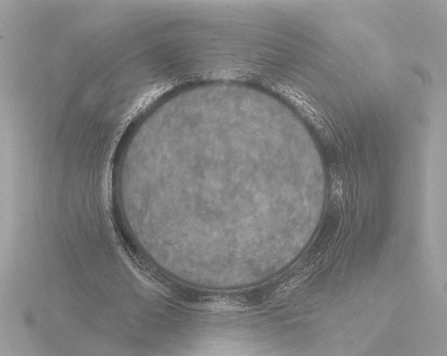 X0000116150678200912211509