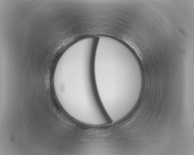 X0000116150681200912211509