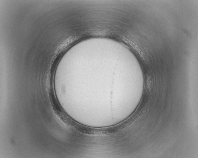 X0000116150682200912211509