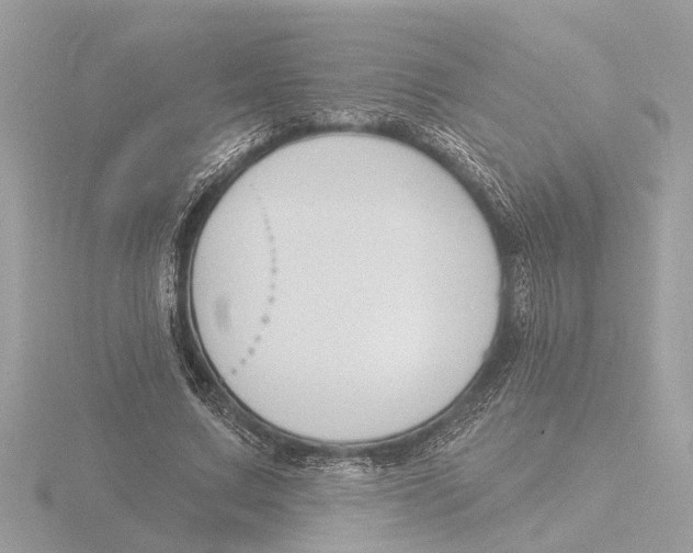 X0000116150683200912211509