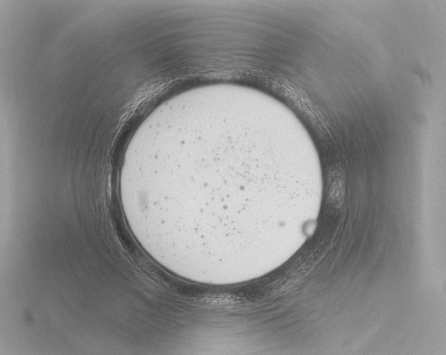 X0000116150685200912211509