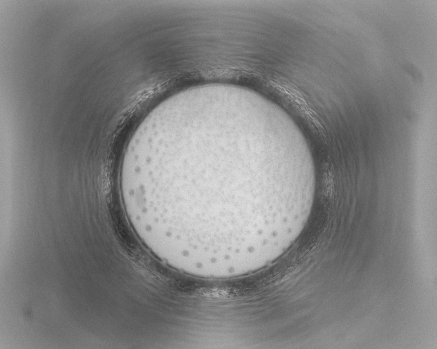 X0000116150687200912211509