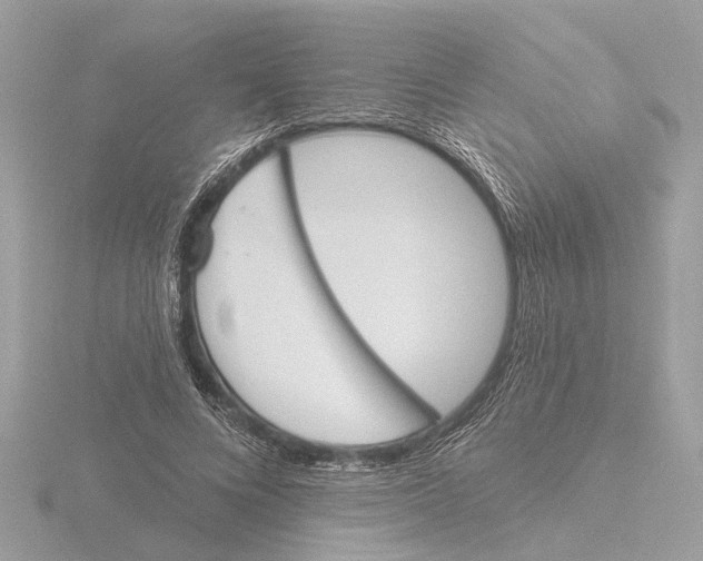 X0000116150688200912211509