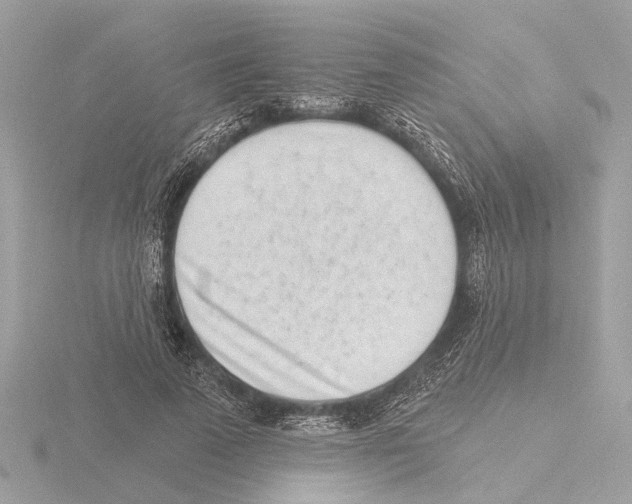 X0000116150689200912211509