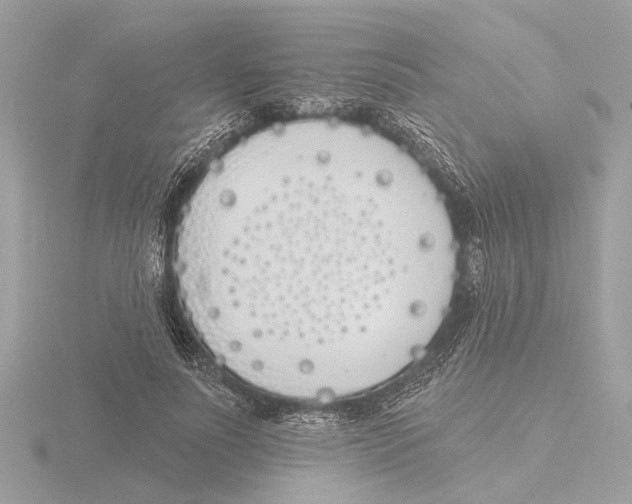 X0000116150691200912211509