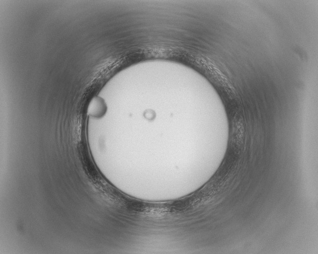 X0000116150694200912211509