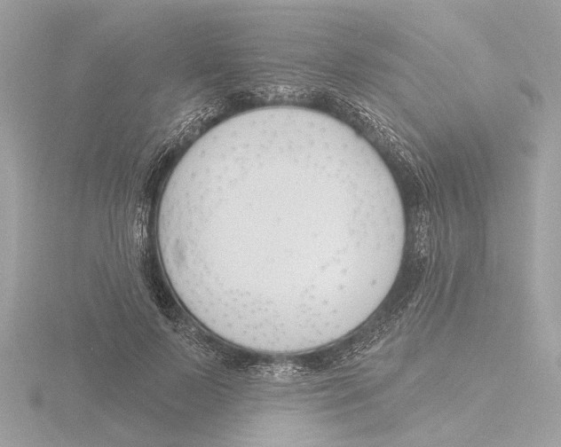 X0000116150695200912211509