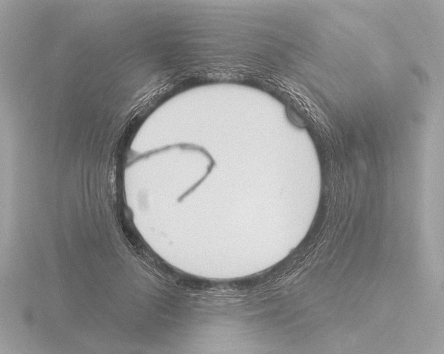 X0000116150696200912211509