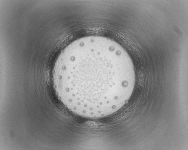 X0000116150699200912211509