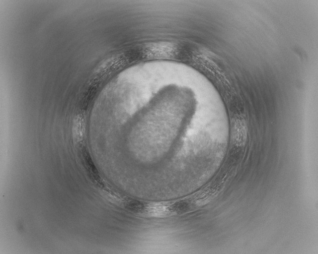 X0000116150701200912211509