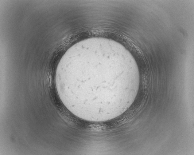 X0000116150703200912211509