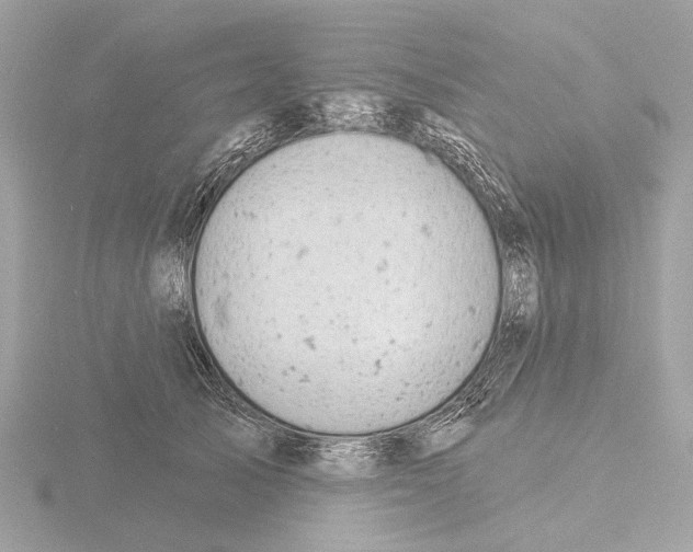 X0000116150705200912211509