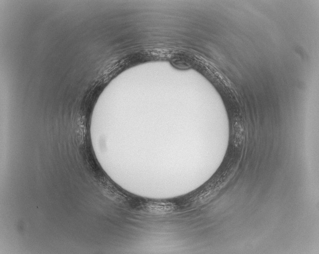 X0000116150707200912211509