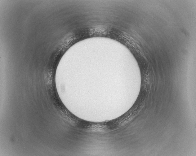 X0000116150708200912211509