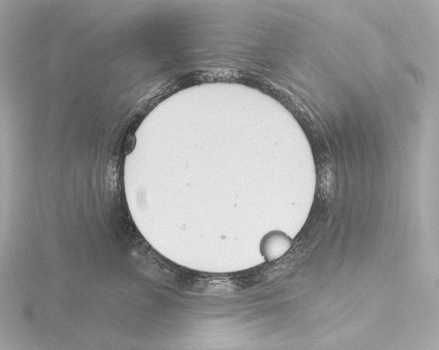 X0000116150715200912211509