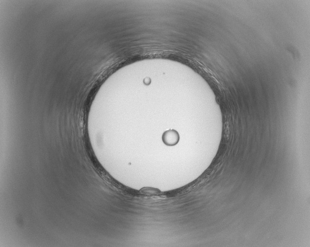 X0000116150716200912211509