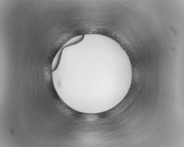 X0000116150719200912211509