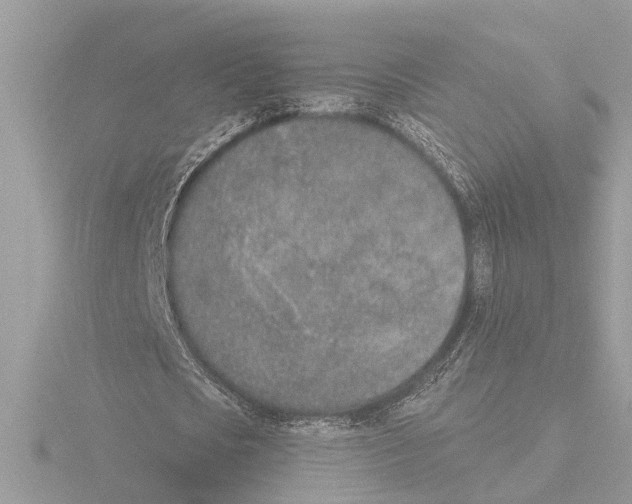 X0000116150721200912211508