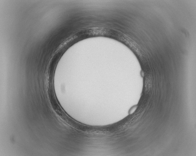 X0000116150722200912211508