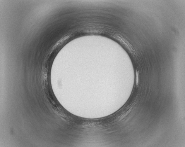 X0000116150723200912211508