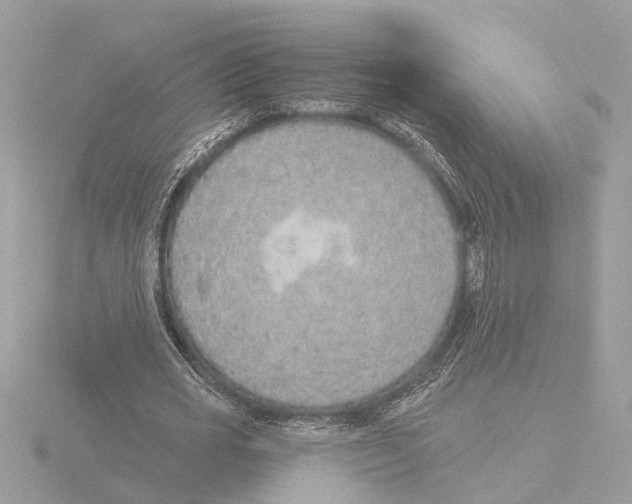 X0000116150725200912211508