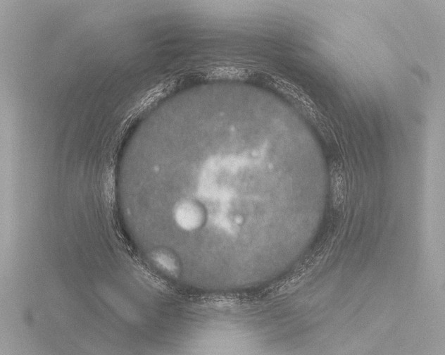 X0000116150729200912211508