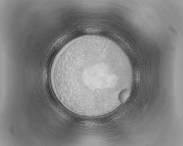 X0000116150733200912211508