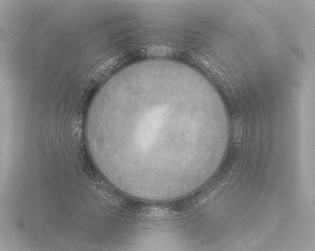 X0000116150737200912211508